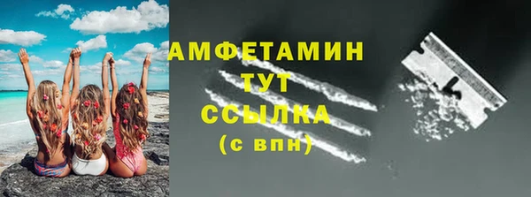 шишки Балахна