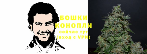 шишки Балахна