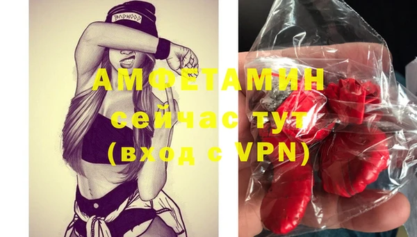 шишки Балахна