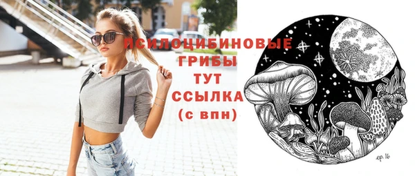 шишки Балахна