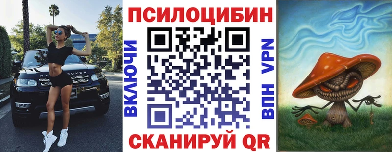 купить наркотики сайты  Выкса  Псилоцибиновые грибы Magic Shrooms 